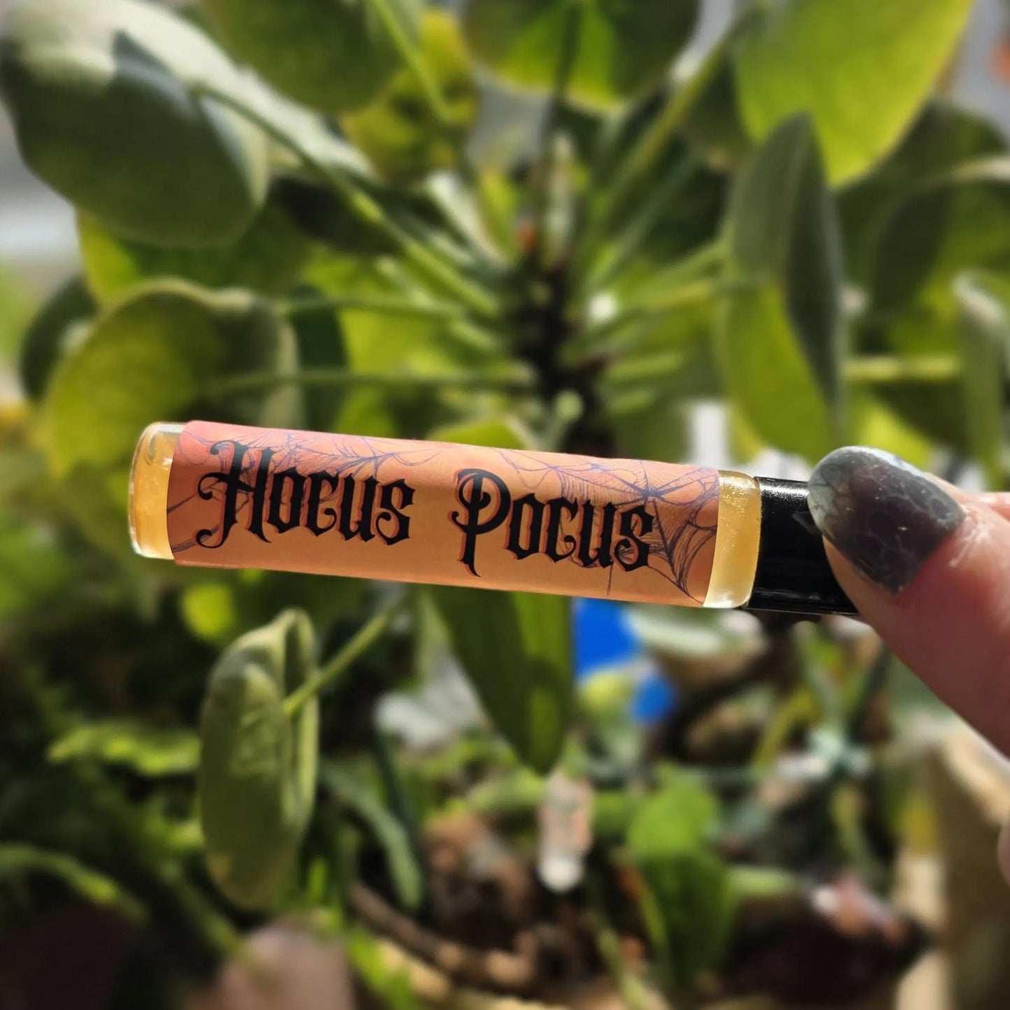 Hocus Pocus Fragrance Oil