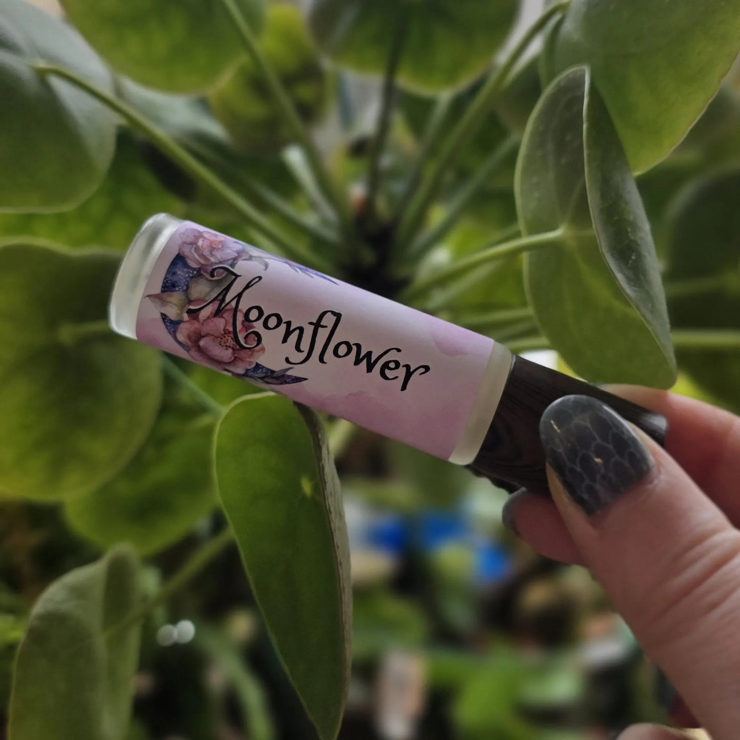 Moonflower Fragrance Oil
