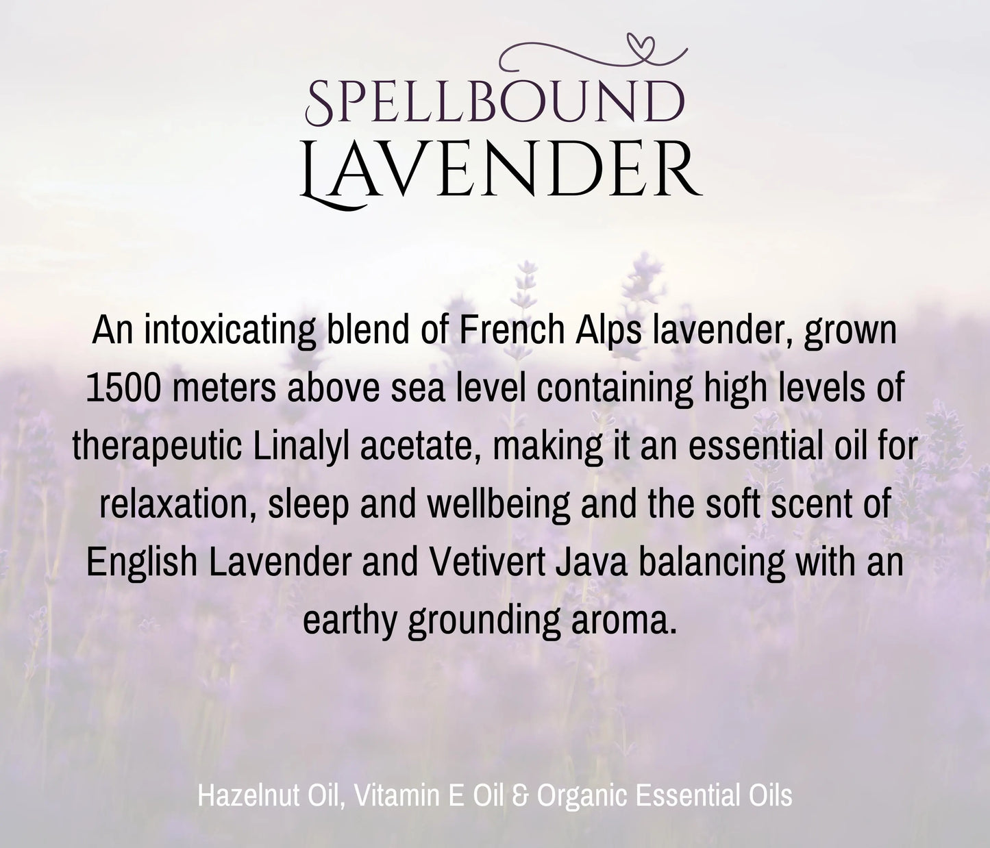 Spellbound Lavender Fragrance Oil